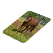 Magnet Flexible Trimestre Cheval en Champ de Fleur sauvage (Côté Gauche)