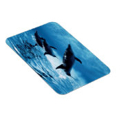 Magnet Flexible Trio de dauphins (Côté Droit)