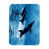 Magnet Flexible Trio de dauphins (Vertical)