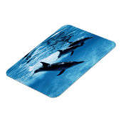 Magnet Flexible Trio de dauphins (Côté Gauche)