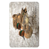 Magnet Flexible Trio mignon de Teals à ailes vertes (Vertical)