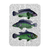 Magnet Flexible Trio poisson bleu et vert (Vertical)