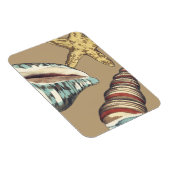 Magnet Flexible Trio Shell sur Khaki (Côté Droit)
