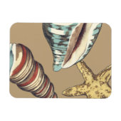 Magnet Flexible Trio Shell sur Khaki (Horizontal)