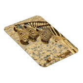 Magnet Flexible trio zèbre (Côté Droit)