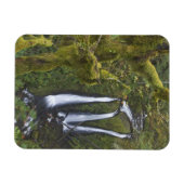 Magnet Flexible Triple Falls, gorge de Columbia (Horizontal)