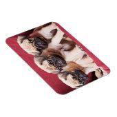 Magnet Flexible Triplets carlin (Côté Droit)