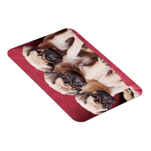 Magnet Flexible Triplets carlin (Côté Droit)