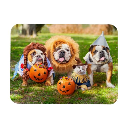 Magnet Flexible Trois Bulldogs en costumes (Horizontal)