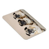 Magnet Flexible Trois Carlins De Ligne (Côté Droit)