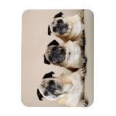 Magnet Flexible Trois Carlins De Ligne (Vertical)