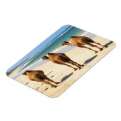 Magnet Flexible Trois chameaux sur la plage à Mombasa Kenya (Côté Gauche)