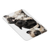 Magnet Flexible Trois Chiots Carlins (Côté Droit)