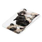 Magnet Flexible Trois Chiots Carlins (Côté Gauche)