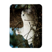 Magnet Flexible Trois dans un arbre (Vertical)