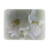 Magnet Flexible trois fleurs blanches (Horizontal)
