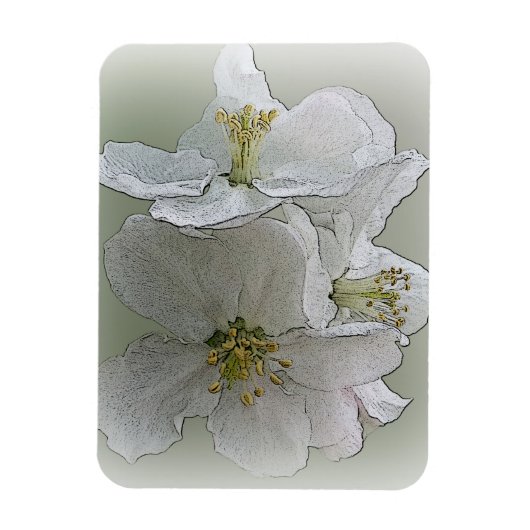 Magnet Flexible trois fleurs blanches (Vertical)