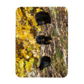Magnet Flexible Trois ours (Vertical)