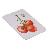 Magnet Flexible Trois tomates sur la vigne 1997 (Côté Droit)