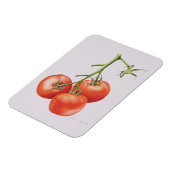 Magnet Flexible Trois tomates sur la vigne 1997 (Côté Gauche)