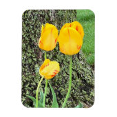 Magnet Flexible Trois Tulipes Jaunes / Flexible (Vertical)