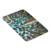 Magnet Flexible Troncs et feuilles de tremble, Yukon (Côté Droit)