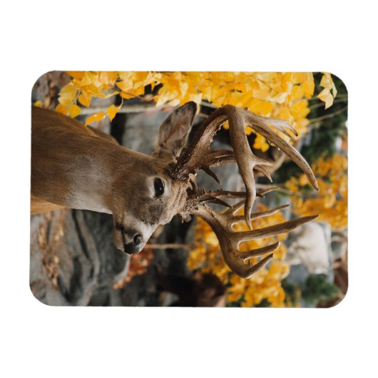 Magnet Flexible Trophée Deer (Horizontal)