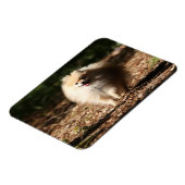 Magnet Flexible Trot de Poméranie en Feuille déchu (Côté Gauche)