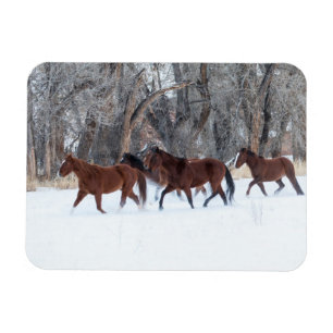 Magnet Flexible Troupeau de chevaux courant dans la neige de l'hiv