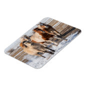 Magnet Flexible Troupeau de Chevaux de race mixte courant dans la (Côté Gauche)