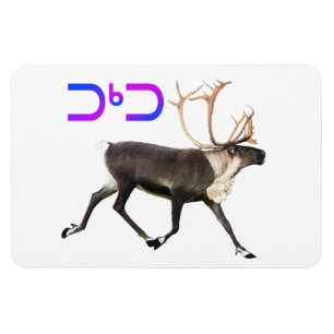 Magnet Flexible Tuktu - Caribou