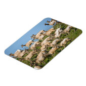 Magnet Flexible Tule Elk| Point Reyes National Seashore, CA (Côté Gauche)