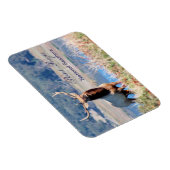 Magnet Flexible Tule Elk Reserve Point Reyes (Côté Droit)