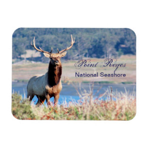Magnet Flexible Tule Elk Reserve Point Reyes