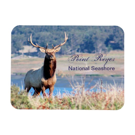Magnet Flexible Tule Elk Reserve Point Reyes (Horizontal)