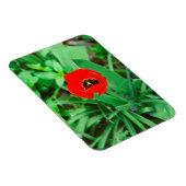 Magnet Flexible Tuliforme rouge (Côté Droit)