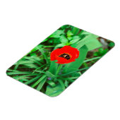Magnet Flexible Tuliforme rouge (Côté Gauche)