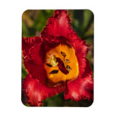 Magnet Flexible Tuliforme rouge (Vertical)