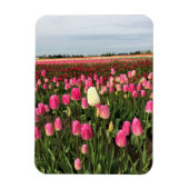 Magnet Flexible Tulip Farm (Vertical)