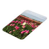 Magnet Flexible Tulip Farm (Côté Gauche)