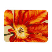 Magnet Flexible Tulipe de perroquet II (Horizontal)