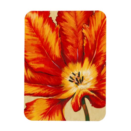 Magnet Flexible Tulipe de perroquet II (Vertical)