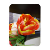 Magnet Flexible Tulipe de soie (Vertical)