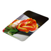 Magnet Flexible Tulipe de soie (Côté Gauche)