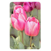 Tulipe [Flex Photo Magnet]