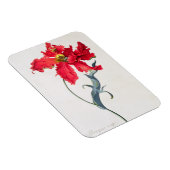 Magnet Flexible Tulipe : Perroquet Rouge (Côté Droit)