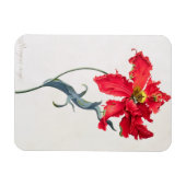 Magnet Flexible Tulipe : Perroquet Rouge (Horizontal)