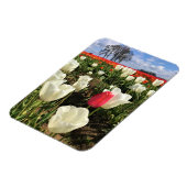 Magnet Flexible Tulipe rose se démarquant, Oregon (Côté Gauche)