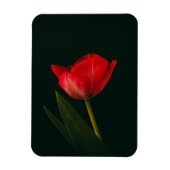 Magnet Flexible Tulipe rouge unique (Vertical)