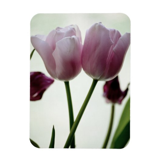 Magnet Flexible Tulipes 3259 (Vertical)